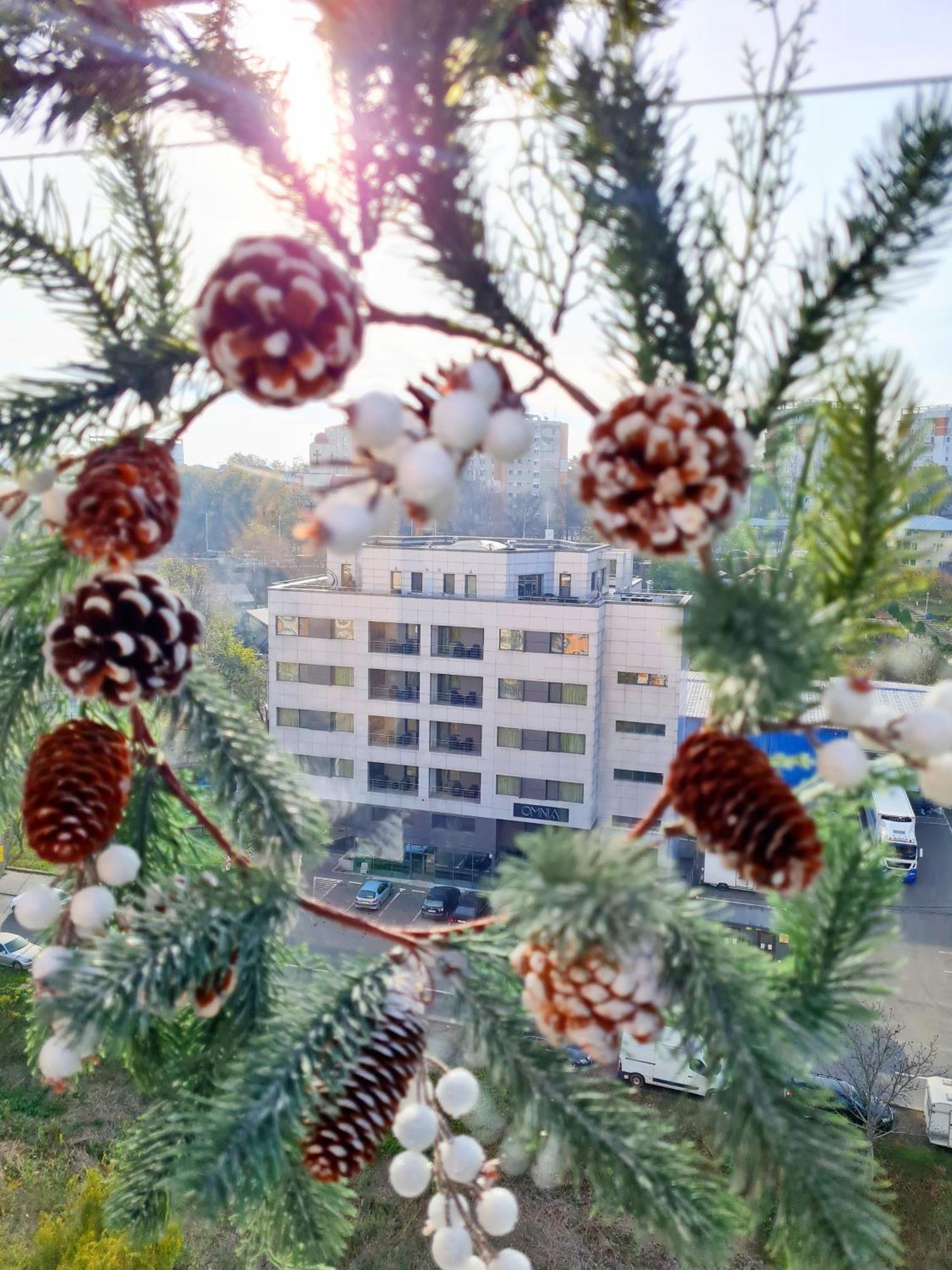 Penthouse Aeroport Iasi Apartment Bagian luar foto