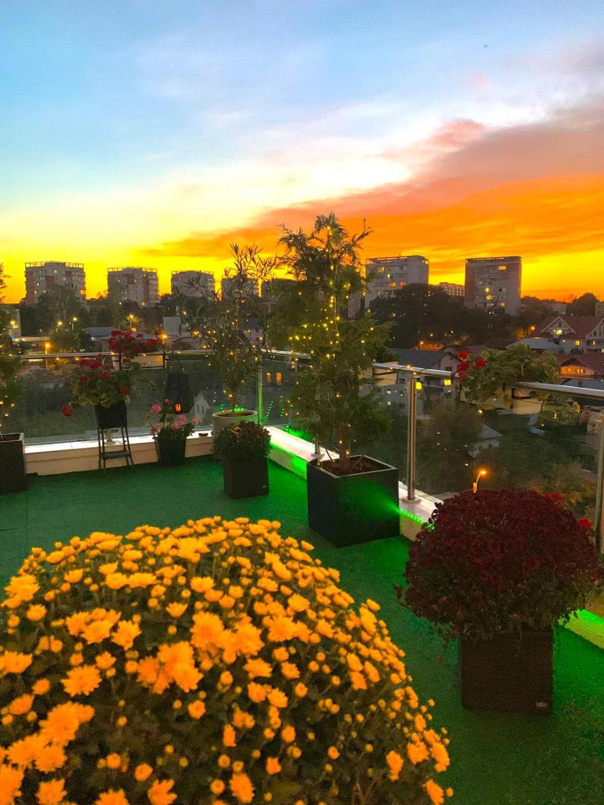 Penthouse Aeroport Iasi Apartment Bagian luar foto