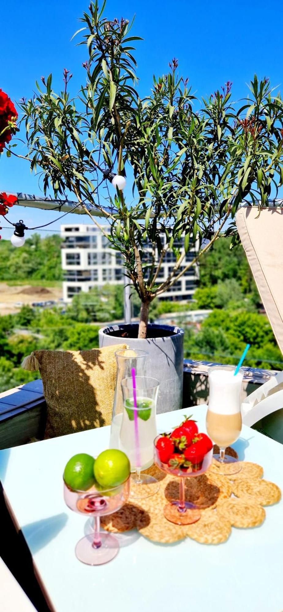 Penthouse Aeroport Iasi Apartment Bagian luar foto